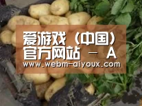 产品展示标题4