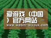 种植基地六