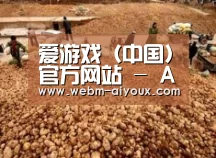 种植基地二