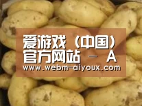 产品展示标题6
