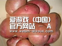 产品展示标题1