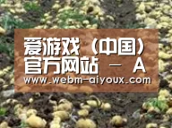 种植基地八(图1)