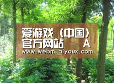 种植基地九
