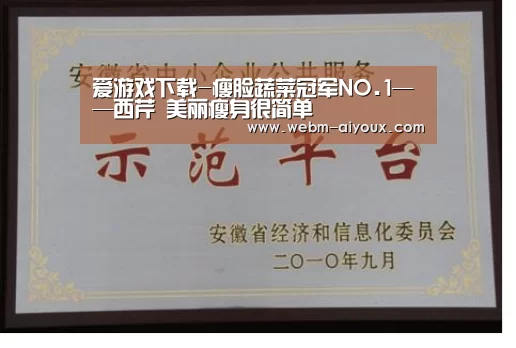 爱游戏APP