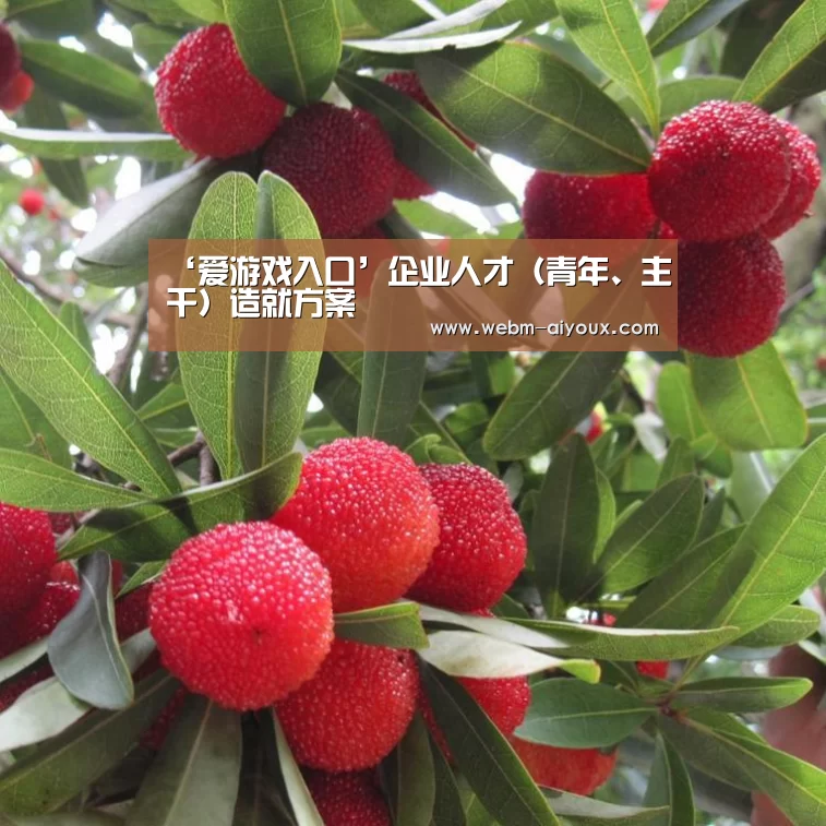 爱游戏全站