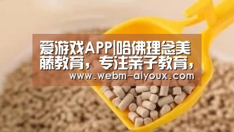 爱游戏入口