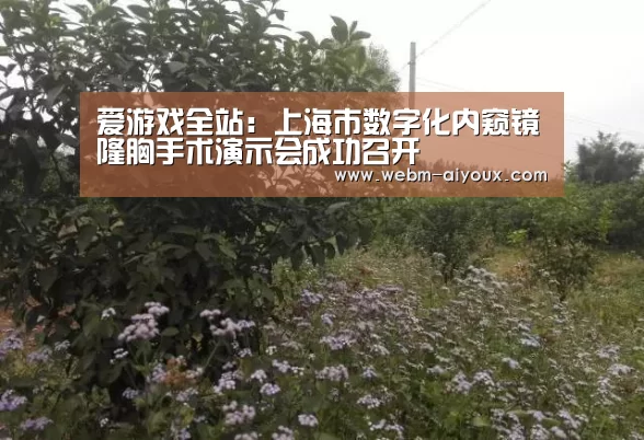 爱游戏全站:上海市数字化内窥镜隆胸手术演示会成功召开(图2) 爱游戏平台
