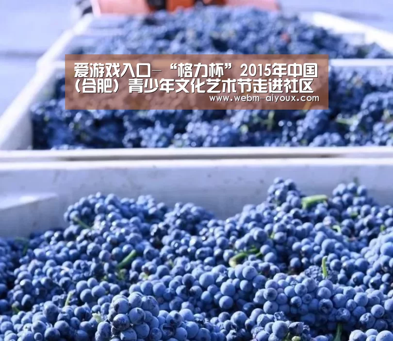 爱游戏入口-“格力杯”2015年中国(合肥)青少年文化艺术节走进社区(图4) 爱游戏全站