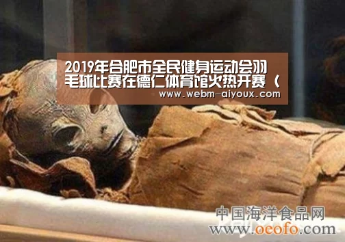 爱游戏平台
